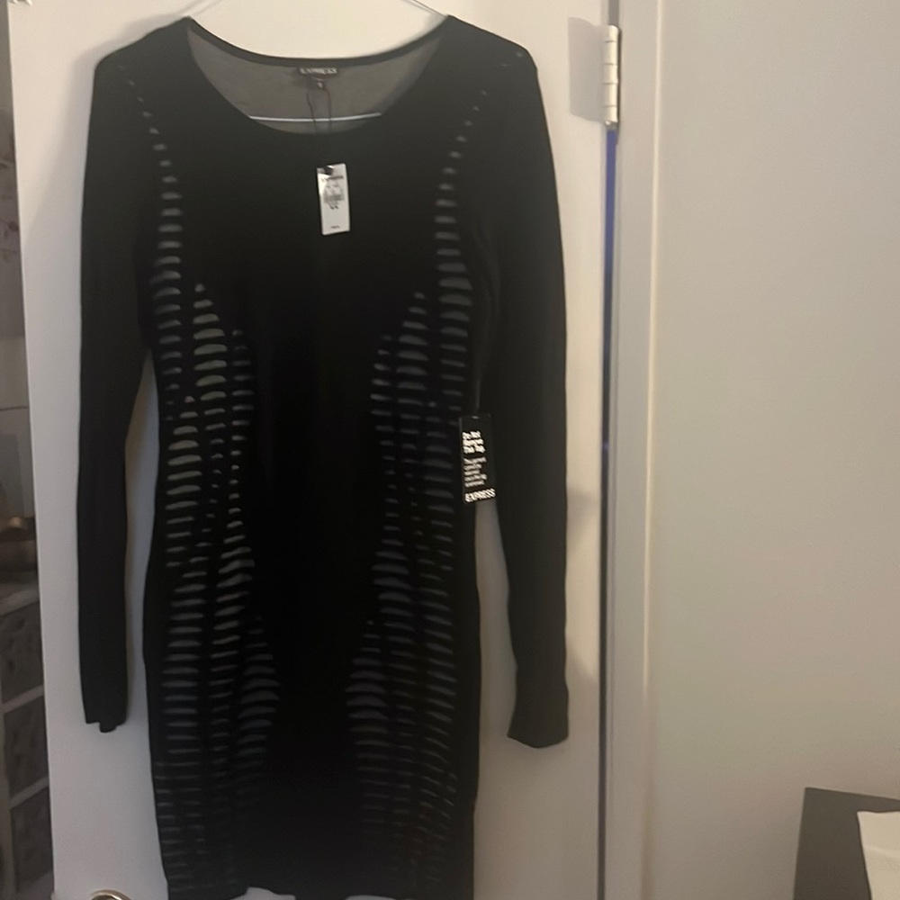 Express Black Body Dress
